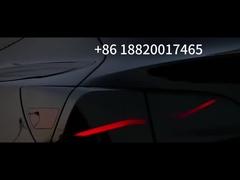 テスラ モデル3 テールランプ